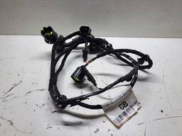 CHICOTE PORTA TRAS ESQUERDO ECOSPORT 2003 A 2012