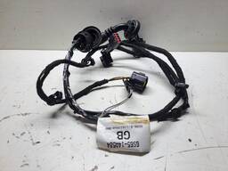 CHICOTE PORTA TRAS ESQUERDO ECOSPORT 2003 A 2012