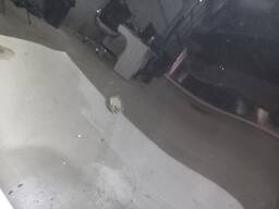 CAPO DIANTEIRO DUSTER 2021 2022/ C/AMASSADO