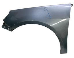 Paralama Esquerdo Gol Saveiro Voyage G5