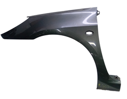 Paralama Esquerdo Peugeot 307 2006 2007 a 2012