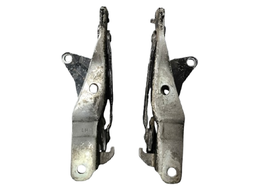 PAR DOBRADICA BRACO CAPO VELOSTER 2012 2013