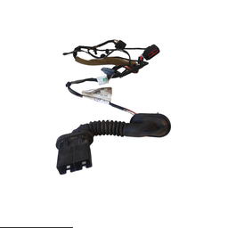 Chicote porta traseira ford Focus 2012 direito