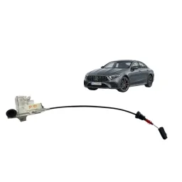 Assistente Fechamento Porta dianteira direito  Cls 53 2019