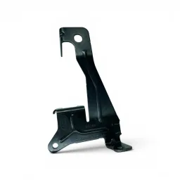 Suporte Módulo Injeção (ECU) LAND ROVER 11/19 BJ32-12A610-AB