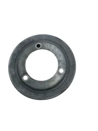 Z_polia bomba água Ford 1.0