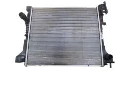 RADIADOR PRINCIPAL PULSE FASTBACK 2022/2025