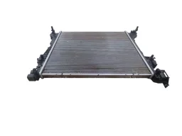 RADIADOR PRINCIPAL PULSE FASTBACK 2022/2025