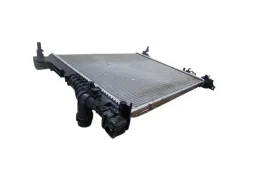 RADIADOR PRINCIPAL PULSE FASTBACK 2022/2025
