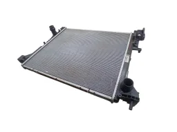 RADIADOR PRINCIPAL PULSE FASTBACK 2022/2025