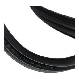 BORRACHA PORTA DIANTEIRA DIR BMW 118I 120I 12 A 19