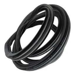 BORRACHA PORTA DIANTEIRA DIR BMW 118I 120I 12 A 19