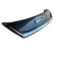 Grade Byd Dolphin 2024 2025 2026