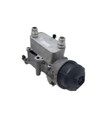 Resfriador Trocador Calor Compass Renegade Fiat Toro 18/23