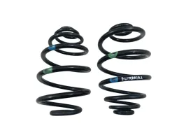 Par Molas Suspensão Traseiras Chevrolet Gm Prisma 2009 2013