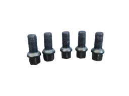 Kit 5 Parafusos Roda VW Polo EA111  1.6 8v 2005