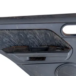 Forro Porta Traseira Esquerda EcoSport 2003 a 2012