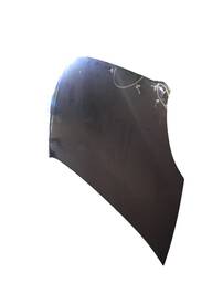 CAPÔ DIANTEIRO LINEA 2009 2010 A 2016