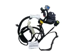 CHICOTE PORTA DIANTEIRA DIREITA PULSE FASTBACK 2024/2025