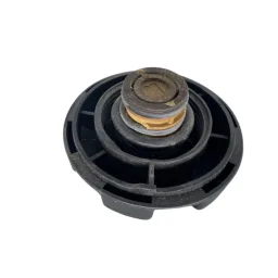 TAMPA RESERVATORIO AGUA RADIADOR BMW 116I/118I/320I/X1/X1/X3