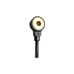 SENSOR DE DETONAÇÃO GOL 1.0 8V 16V 030905377 0261231066