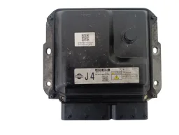 MÓDULO INJEÇÃO FRONTIER 2.5 J4237105X38E MB2757002191