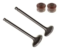 KIT VALVULA ADMISSAO ESCAPAMENTO HONDA CG 150 2009 2015 MIX