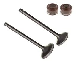 Kit Valvula Admissao Escapamento Honda CG NXR 160 2015 2020
