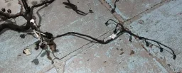 Chicote Injeção Motor Land Rover Discovery 3.0 Hse 2022 2023 K6D312A690