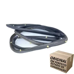 BORRACHA PORTA DIANTEIRA DIREITA FORD FOCUS FASTBACK 13 A 19