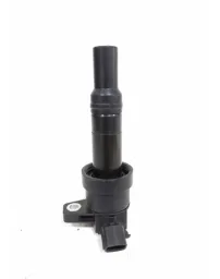 Bobina Ignição Hyundai Hb20 1.0 2015/16