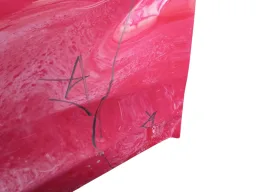 Porta Dianteira Direita Onix 2020 2021 2022/ (AVARIA)