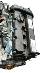 Motor Ford New Fiesta Ecosport Focus 1.6 2014 a 2019 115cv