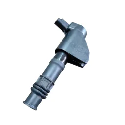 Bobina Ignição Citroen C5 Peugeot 406 407 607 Laguna 3.0 V6