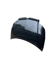 Capô Dianteiro C4 Pallas Hatch Vtr C4 2006 2007 a 2014