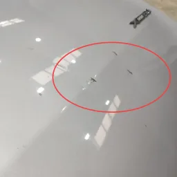 Porta Dianteira Direita Bmw X6 2010 2011 2012 2013 2014