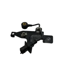 Sensor Detonação Gm Cruze 2013 2014 55580011