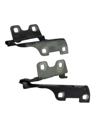 DOBRADICA PAR BRACO CAPO RENAULT CLIO 2001 2010 7700842680