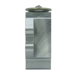 VALVULA DE EXPANSÃO BLOCK POLO UP GOL VOYAGE G5 G6 FOX 06A19
