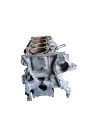 BLOCO MOTOR FUSION TITANIUM TURBO 2.0 (STD) 2016