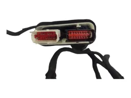 CHICOTE PORTA DIANTEIRA ESQUERDA CITROEN C4 LOUNGE 2014 2019