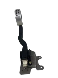 Pedal Acelerador Eletrônico 206 207 9654877580 Original