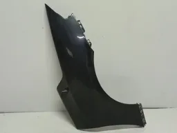 PARALAMA BMW Z4 TRASEIRO ESQUERDO 2009/2016