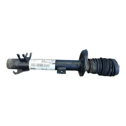 Amortecedor Suspensão Dianteira Esquerda/Direita Ecosport 07