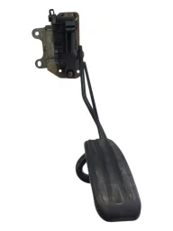 Pedal Acelerador Peugeot 206 307 2001 2007 9639961580