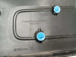 FRISO MOLDURA PORTA DIANTEIRA DIREITA C4 CACTUS 2019/