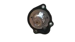 FLANGE VÁLVULA TERMOSTÁTICA FORD FOCUS POWER SHIFT 2.0 2015