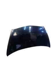 Capô Dianteiro Fit 2004 a 2008