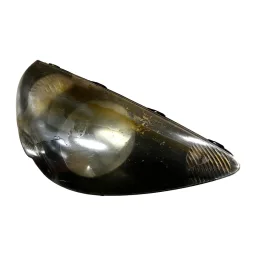 Farol Direito Honda Fit 2004 a 2008 Masc Negra