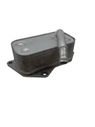 Resfriador Trocador Calor Óleo Bmw 320i X1 N20 2.0 2013